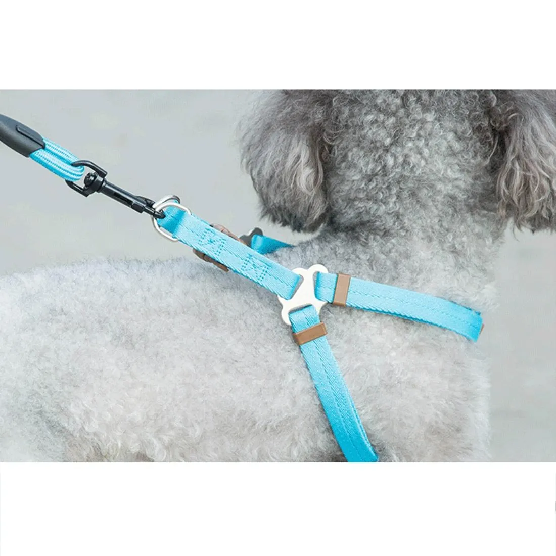3 Piece Pet Set Collar Harness & Leash L Chest 57 90Cm Neck 40 64Cm Weight 35Kg Max