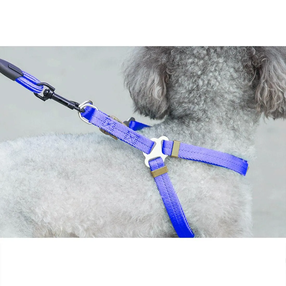 3 Piece Pet Set Collar Harness & Leash M 15Kg Max 33 52Cm Neck 43 67Cm Chest