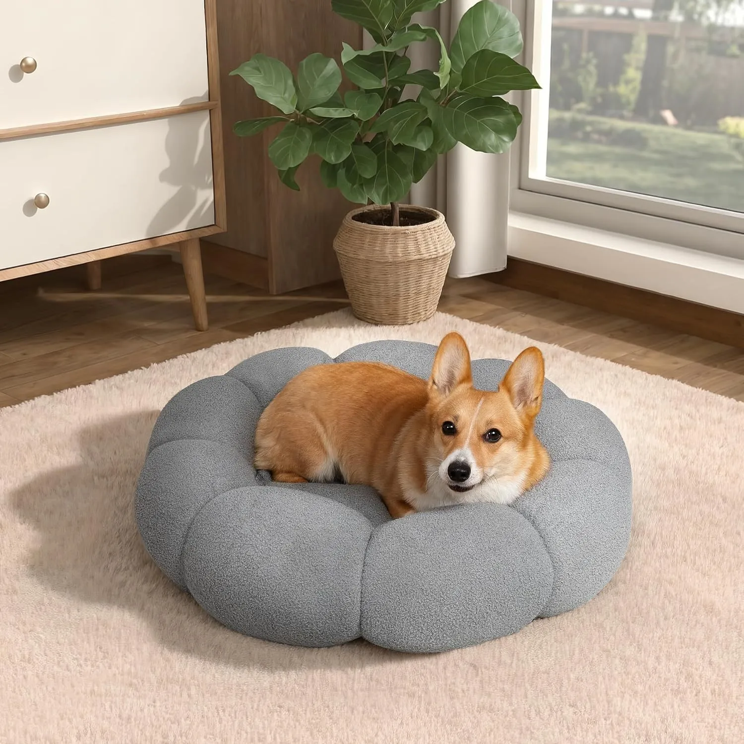 Calming Cat Beds For Indoor Cats Fluffy Flower