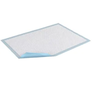 Disposable Underpad TENA® Large 30 X 30 Inch Light Absorbency - Essity HMS North America Inc  Mfr# 61320