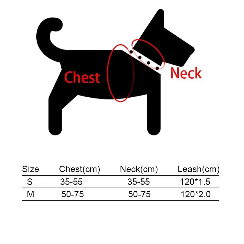 Dog's Boho Print Harness with Leash