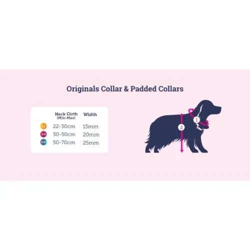 Doodlebone Padded Dog Collar Cobalt Size 3-6