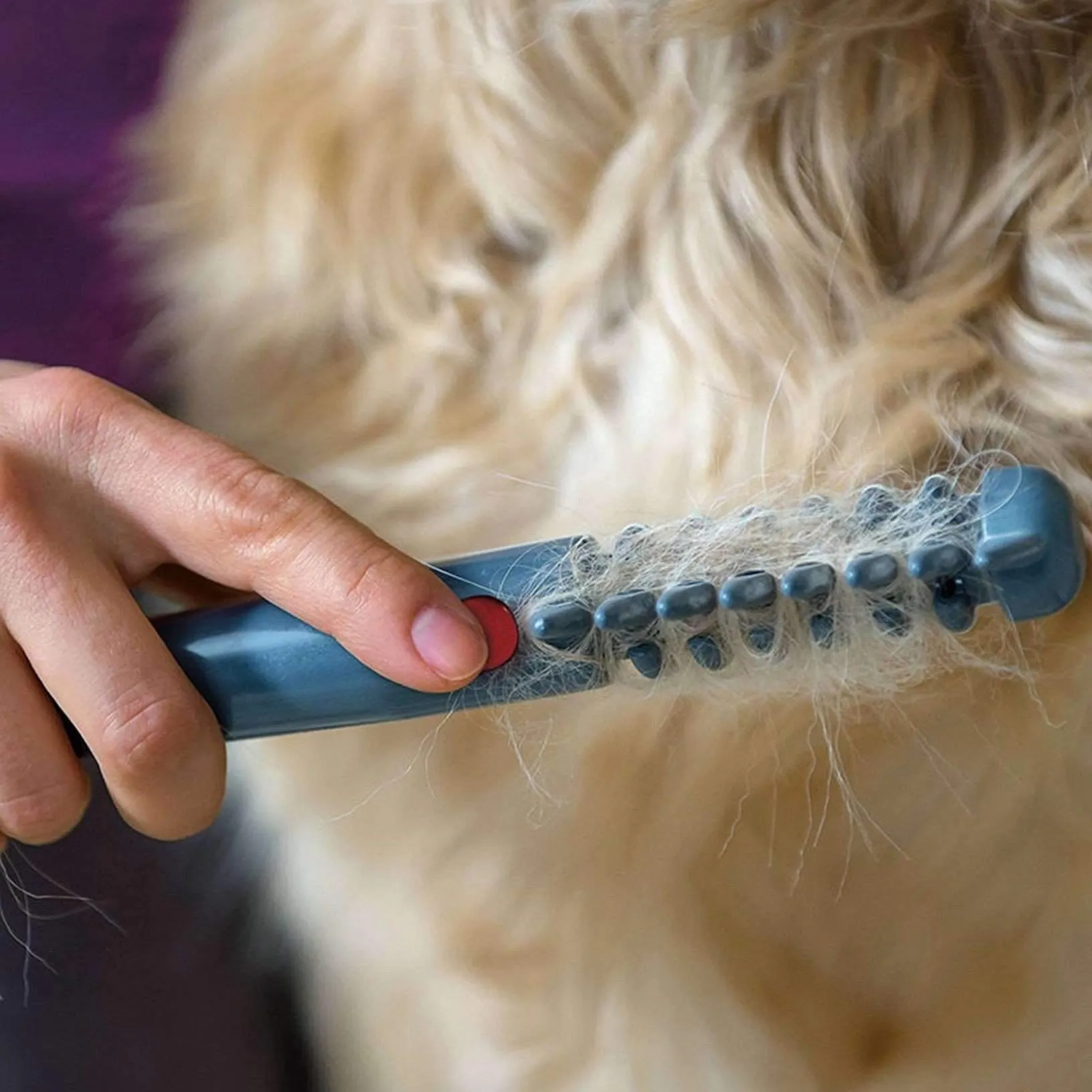Electric Pet Grooming Comb - The Ultimate Pet Grooming Tool