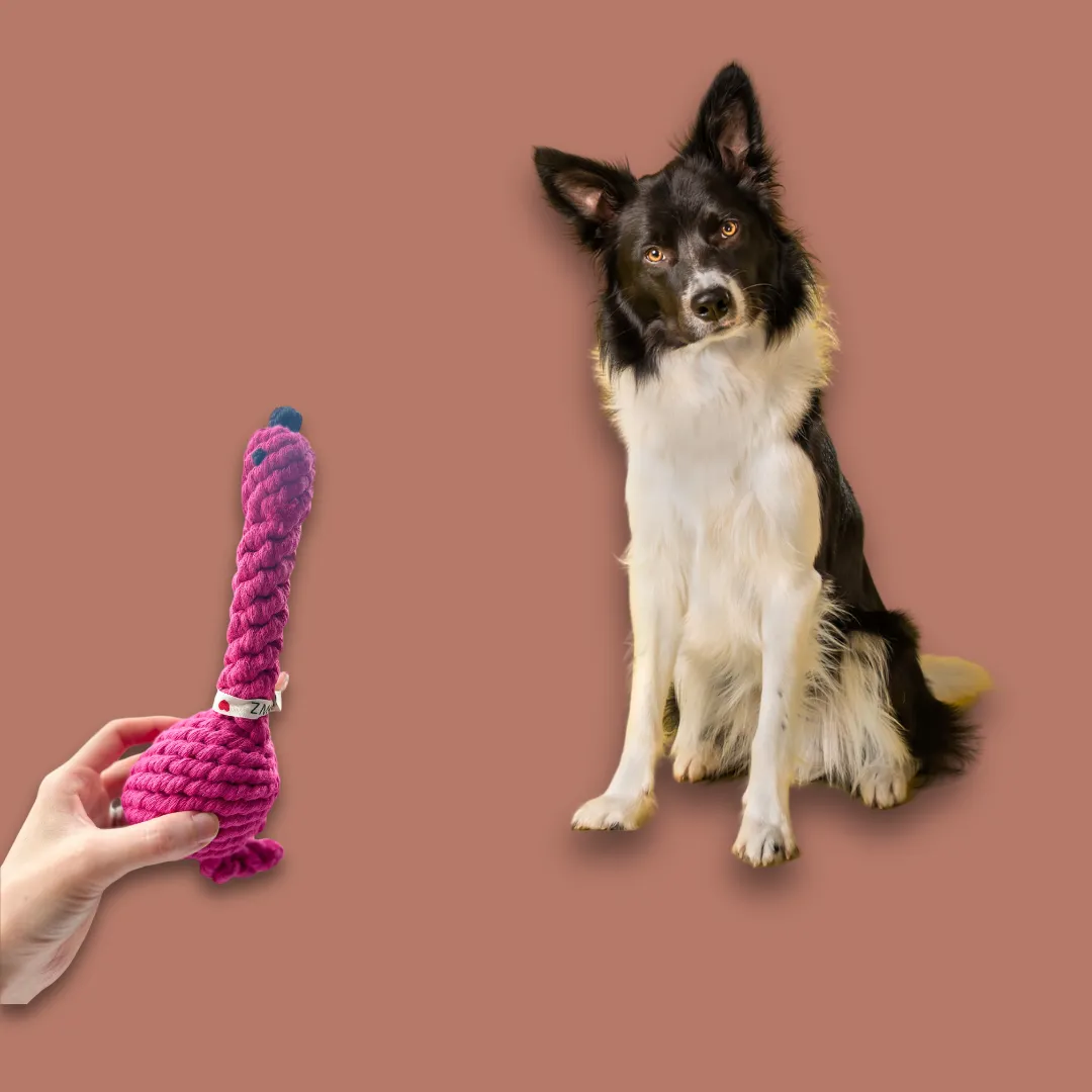 Flamingo Rope Dog Toy