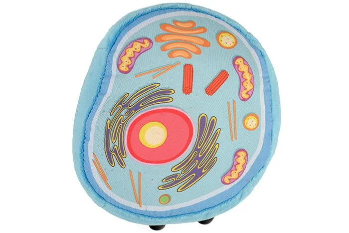 GIANTmicrobes Animal Cell