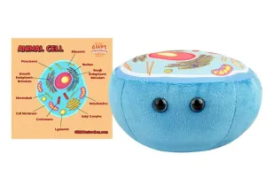 GIANTmicrobes Animal Cell
