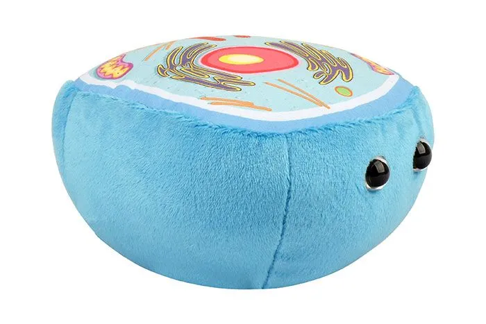GIANTmicrobes Animal Cell