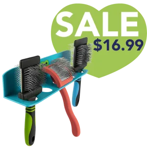Hanging Brush Holder Cyan by PetStore.Direct