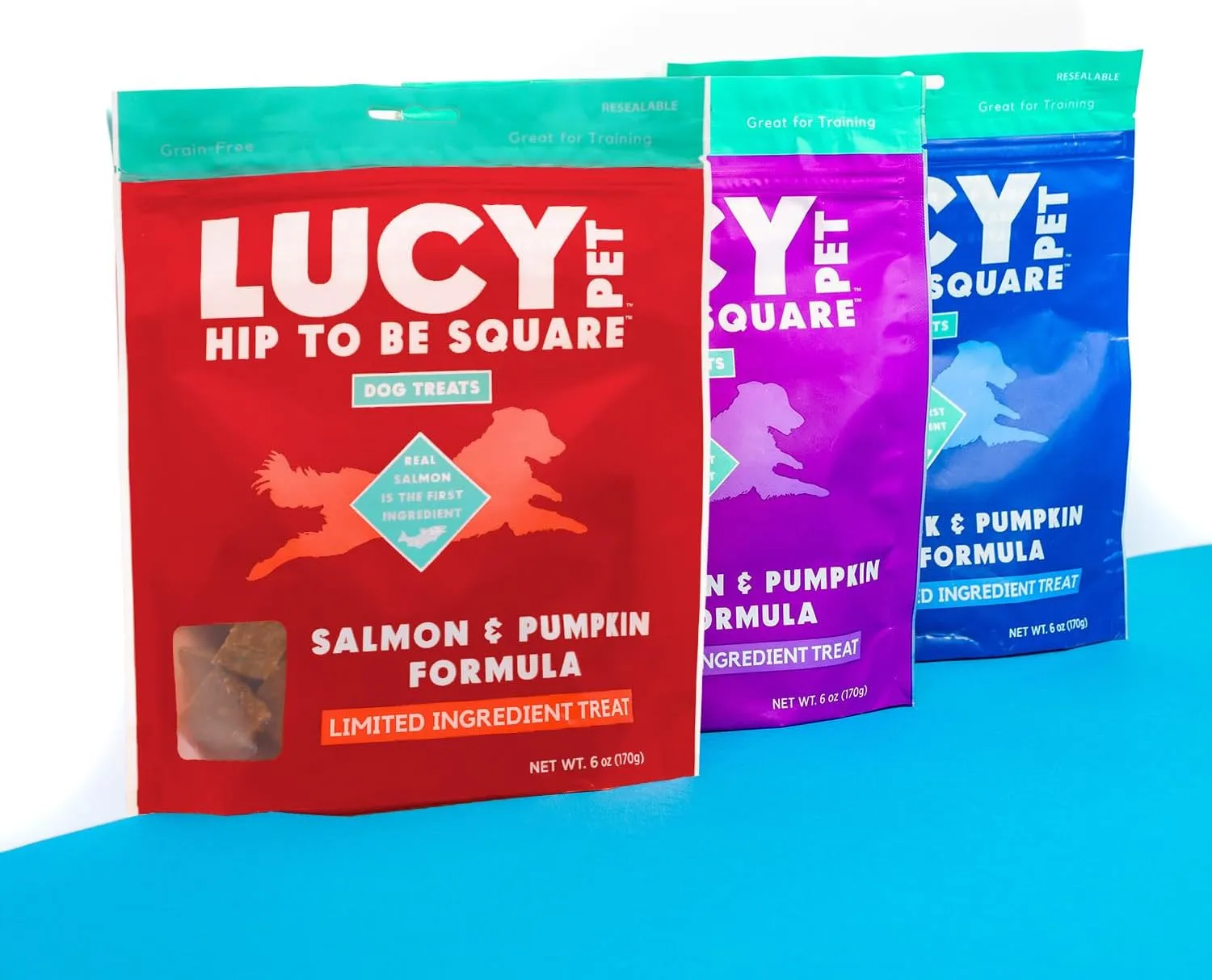 Lucy Pet Products Hip to Be Square Salmon & Pumpkin Formula Dog Treats, 6-oz
