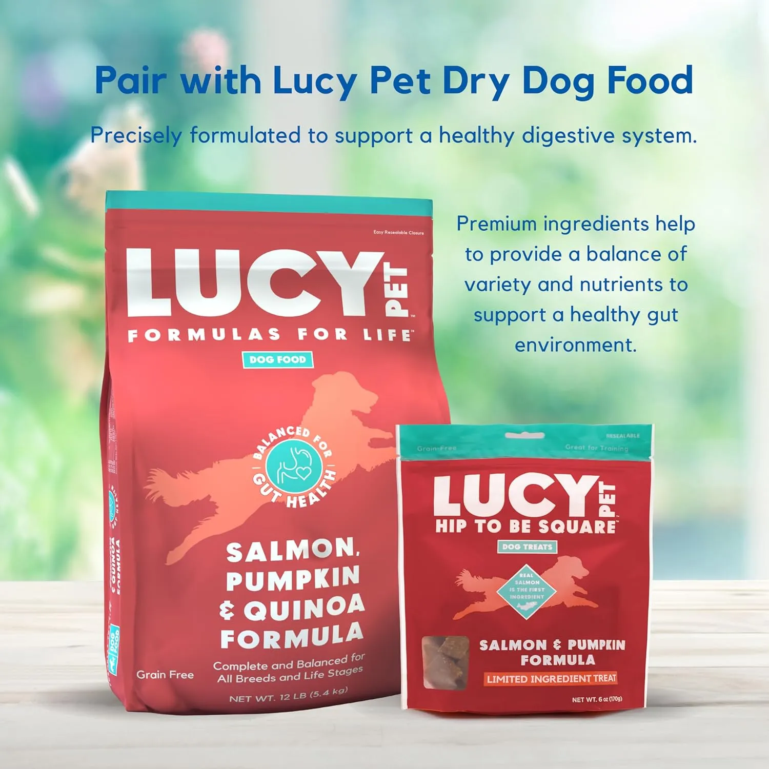 Lucy Pet Products Hip to Be Square Salmon & Pumpkin Formula Dog Treats, 6-oz