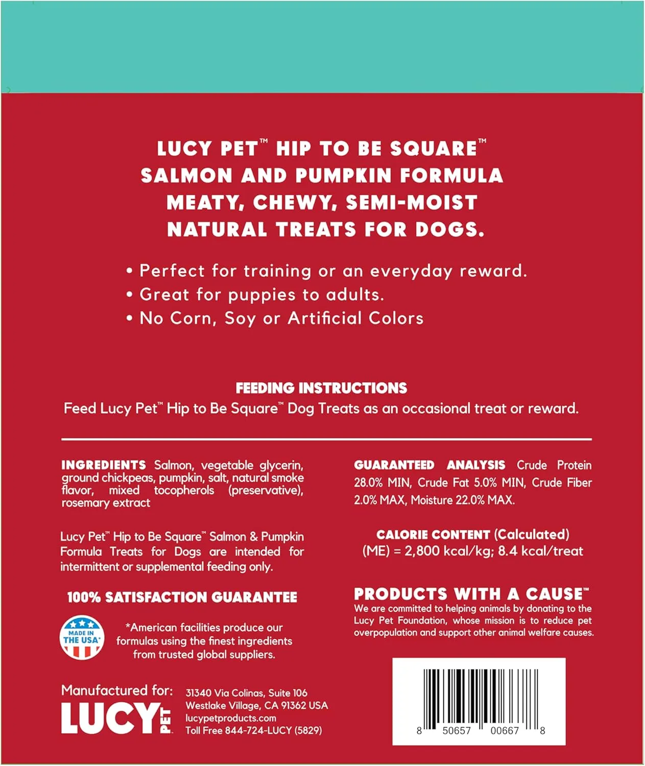 Lucy Pet Products Hip to Be Square Salmon & Pumpkin Formula Dog Treats, 6-oz