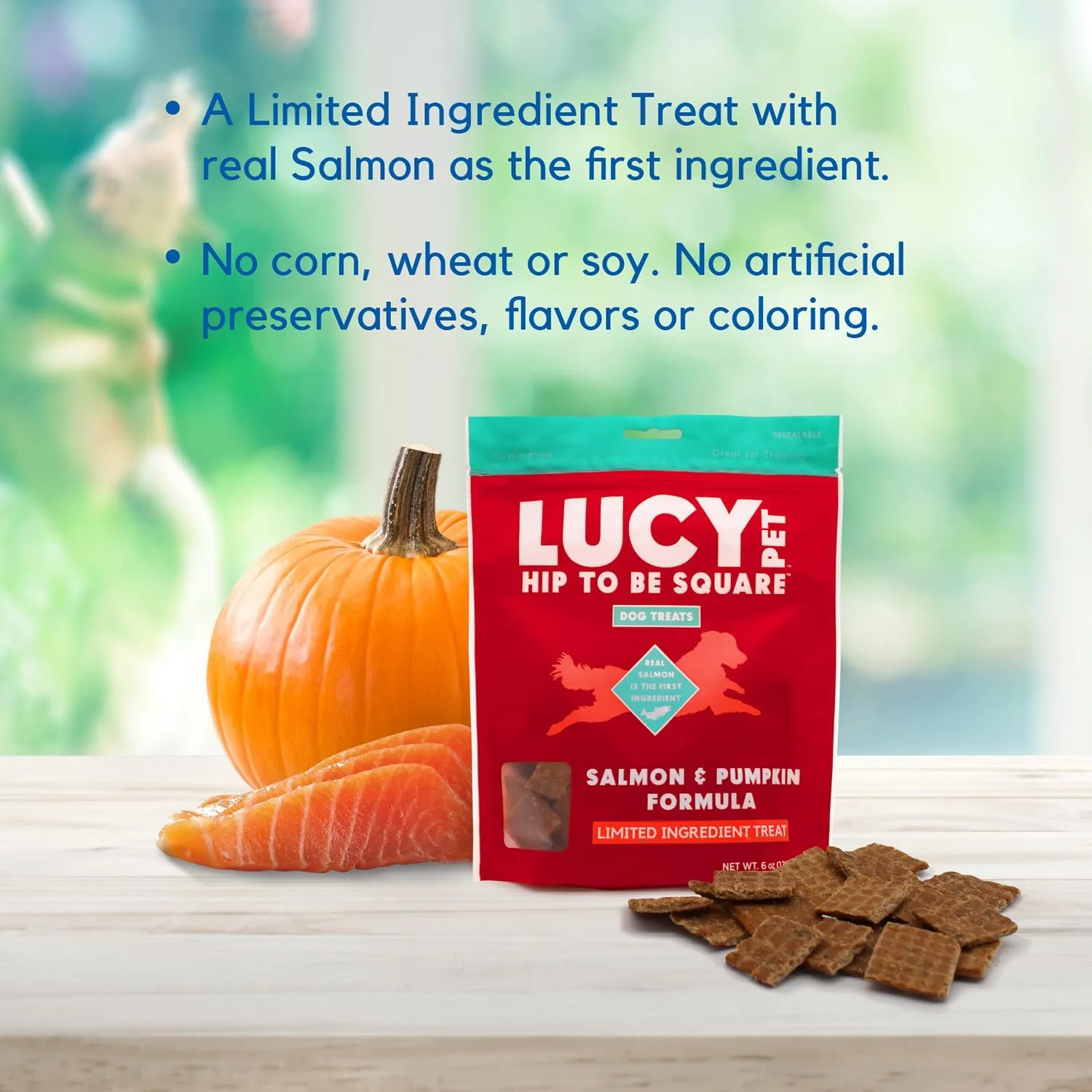 Lucy Pet Products Hip to Be Square Salmon & Pumpkin Formula Dog Treats, 6-oz