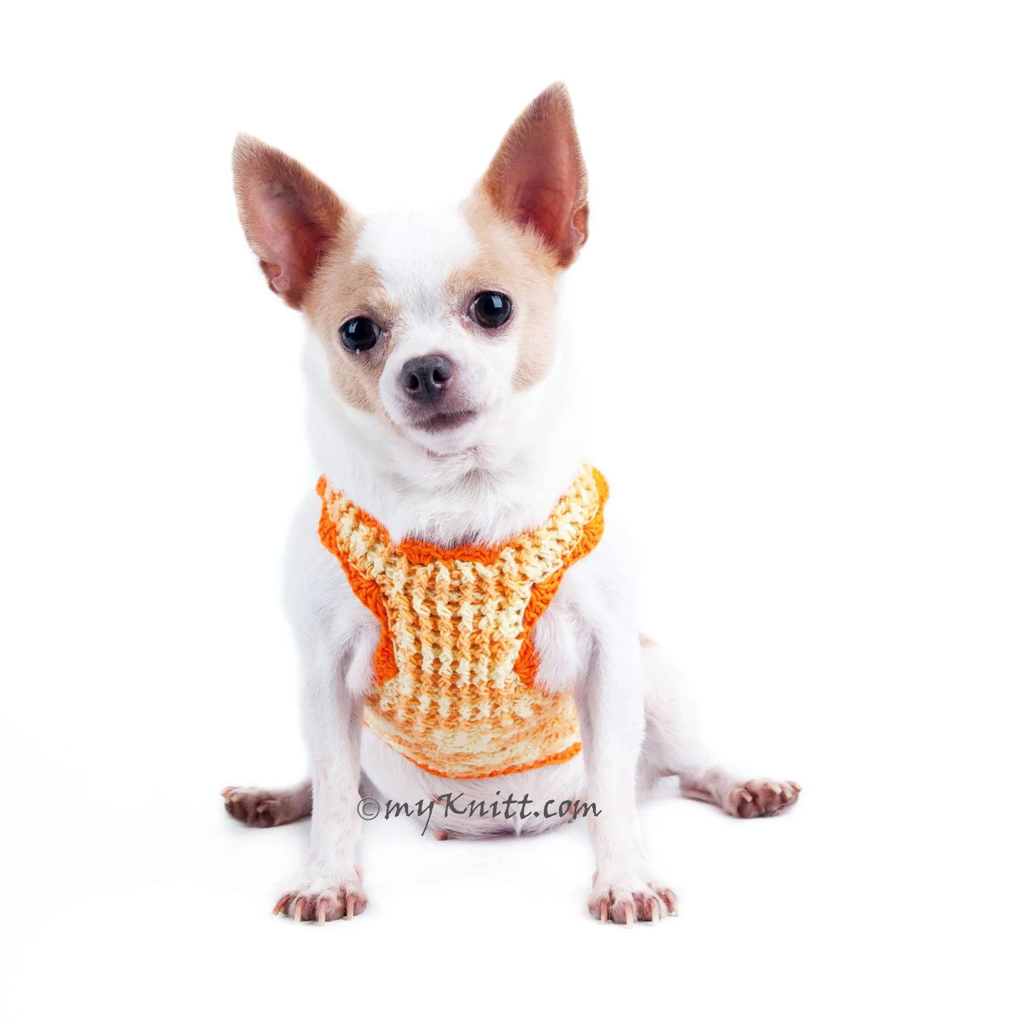 Luxury Dog Clothes with Crystals and Pearls Personalized Pet Harness DK914