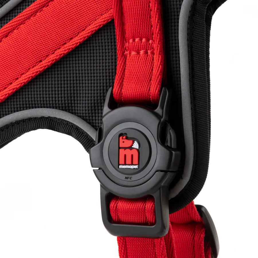 Memopet Harnesses