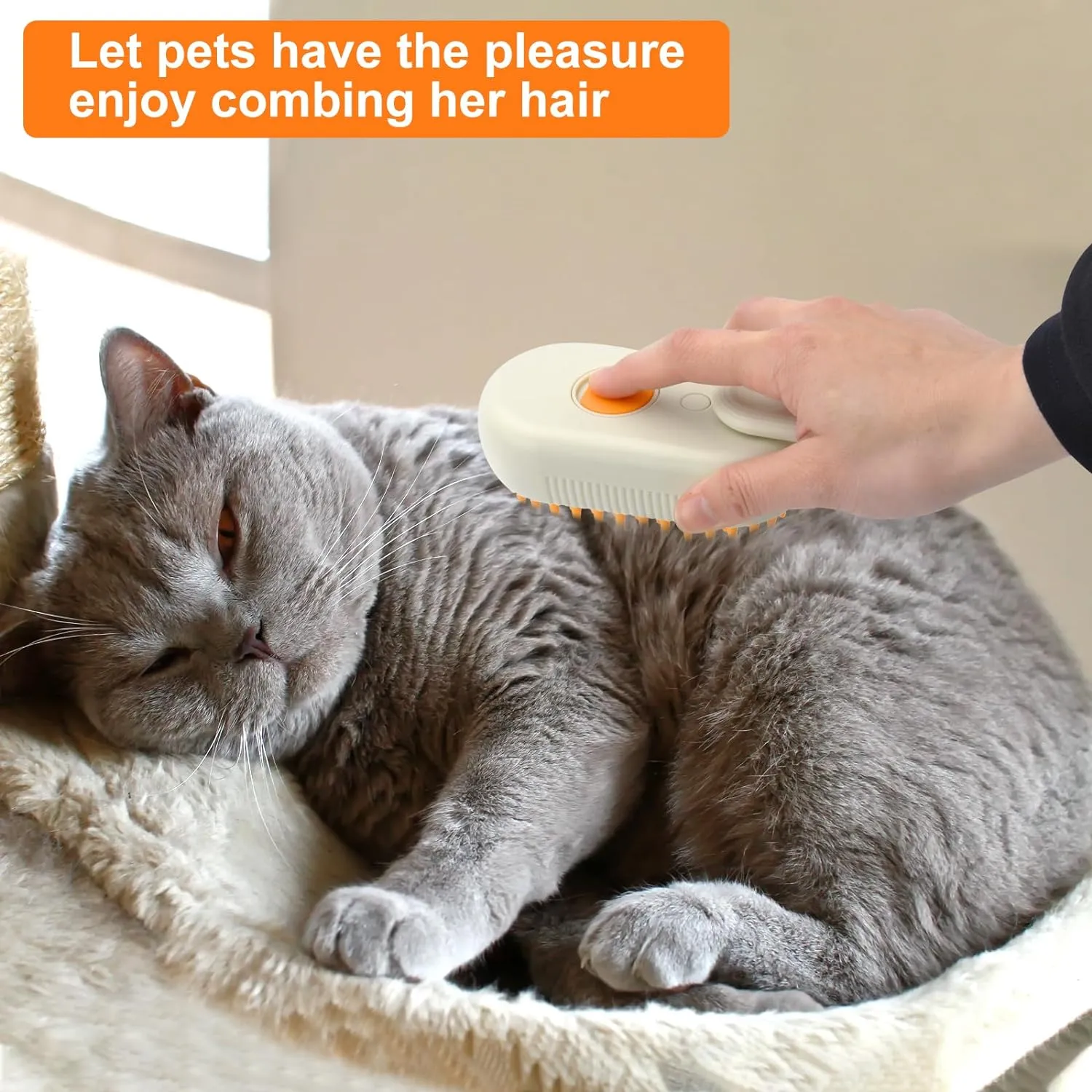 Modern Pet Water Steam Brush Bl-463
