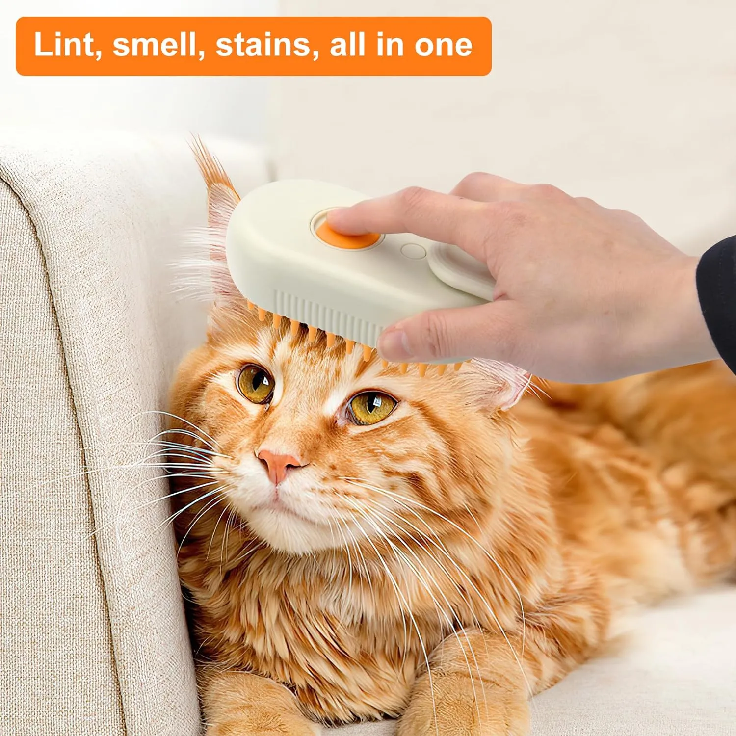 Modern Pet Water Steam Brush Bl-463