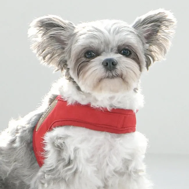 olchi basic V harness - red