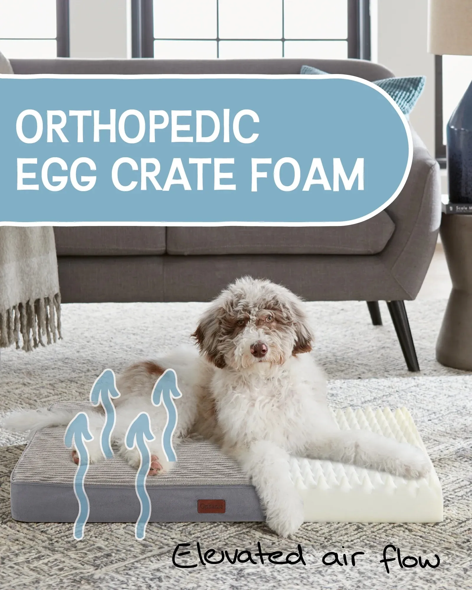 Ophanie Gray 35in Orthopedic Dog Bed For Large Dogs with Egg Crate Foam Support and Non-Slip Bottom, Waterproof and Machine Washable Removable Pet Bed Cover,L size(35"x22"x3.5")