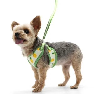 pineapple harness & leash set- yellow
