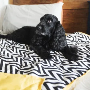 PoochMate Chevron & Yellow Dog Blanket