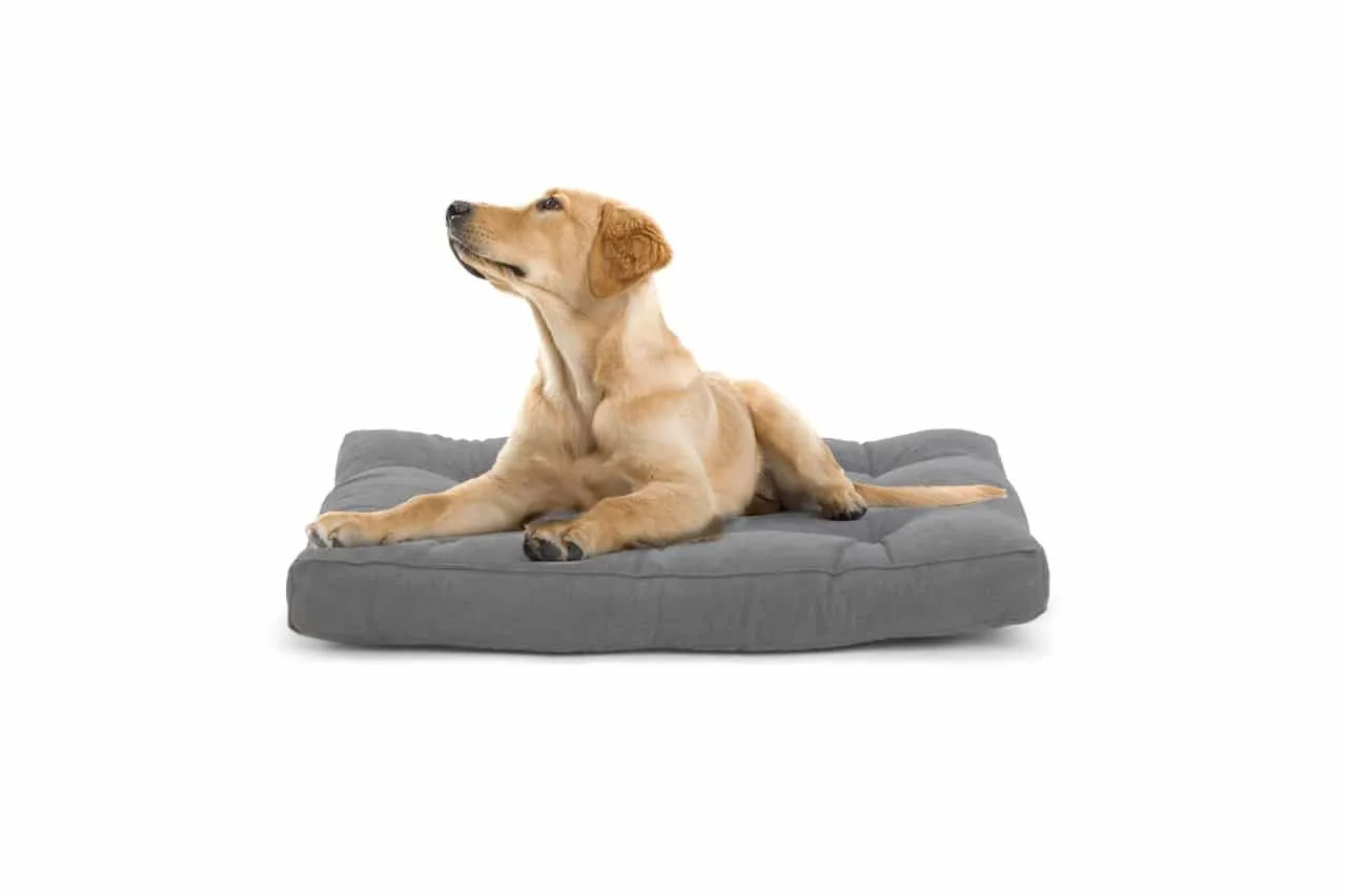 Rectangular Soft foam Mattress - Reefy