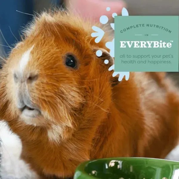 Simple Harvest Adult Guinea Pig Food - 4lb.