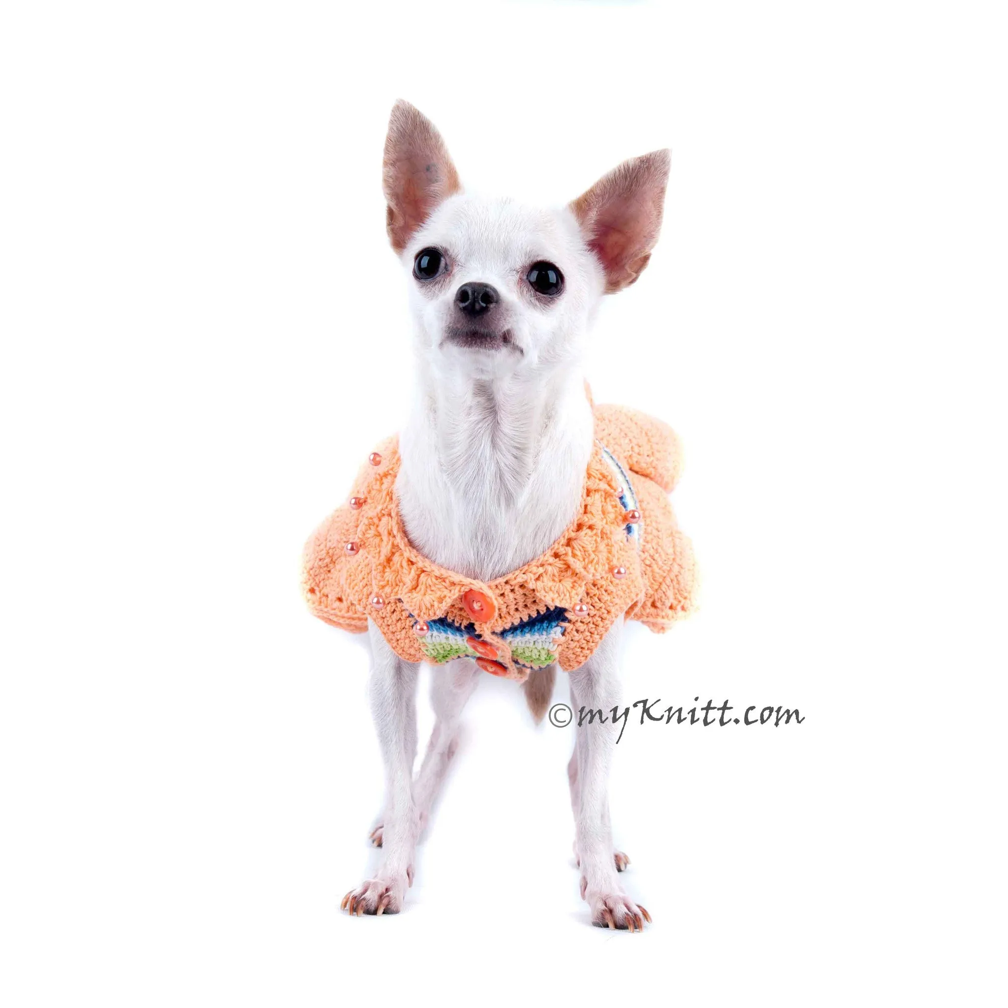 Spring Dog Dress Peach  DF40