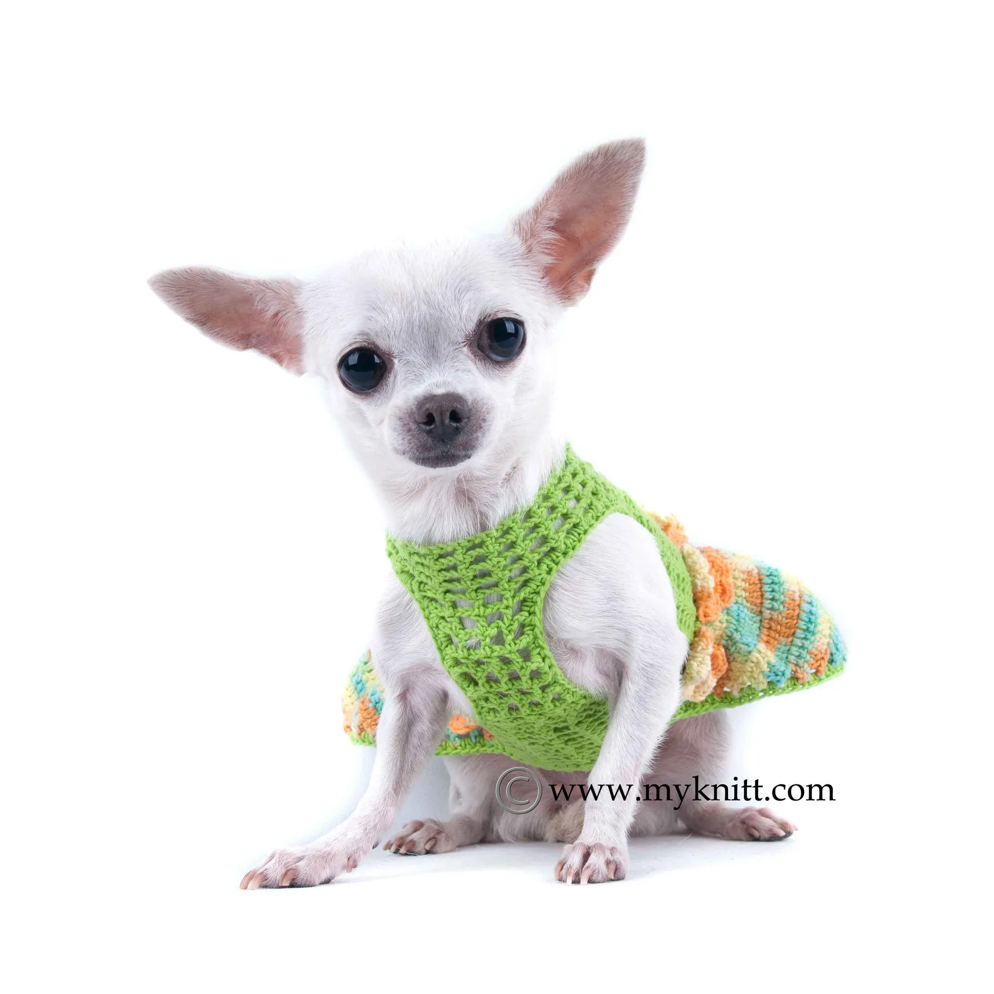 Summer Dog Dress Green Yellow Flower DF15