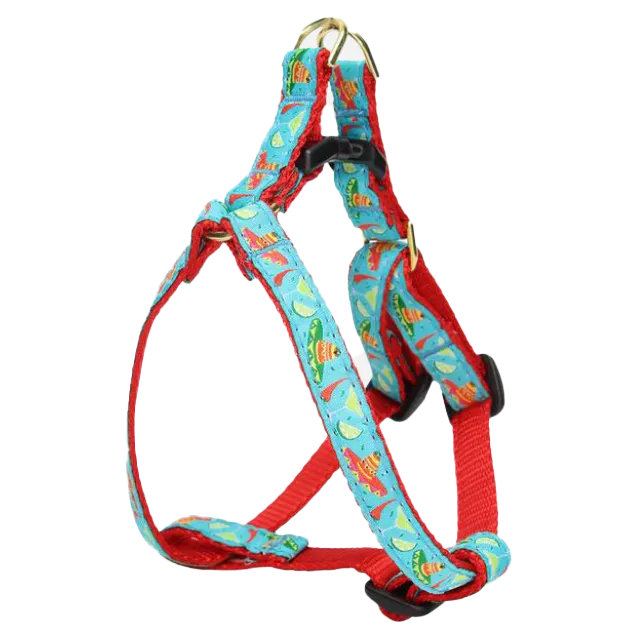 Teacup Harness | Cinco De Mayo